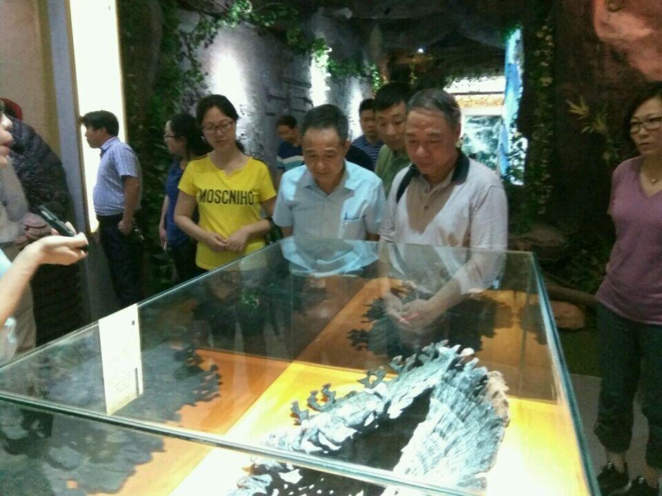 杭州亞運會官方靈芝產品供應商|杭州亞運會官方供應商|中國靈芝十大品牌|仙客來靈芝|仙客來靈芝破壁孢子粉|仙客來孢子油|仙客來靈芝飲片|仙客來破壁孢子粉|靈芝孢子油|孢子粉|靈芝破壁孢子粉|靈芝|中華老字號 杭州亞運會官方靈芝產品供應商|杭州亞運會官方供應商|中國靈芝十大品牌|仙客來靈芝|仙客來靈芝破壁孢子粉|仙客來孢子油|仙客來靈芝飲片|仙客來破壁孢子粉|靈芝孢子油|孢子粉|靈芝破壁孢子粉|靈芝|中華老字號