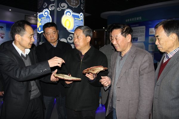 杭州亞運(yùn)會(huì)官方靈芝產(chǎn)品供應(yīng)商|杭州亞運(yùn)會(huì)官方供應(yīng)商|中國(guó)靈芝十大品牌|仙客來(lái)靈芝|仙客來(lái)靈芝破壁孢子粉|仙客來(lái)孢子油|仙客來(lái)靈芝飲片|仙客來(lái)破壁孢子粉|靈芝孢子油|孢子粉|靈芝破壁孢子粉|靈芝|中華老字號(hào) 杭州亞運(yùn)會(huì)官方靈芝產(chǎn)品供應(yīng)商|杭州亞運(yùn)會(huì)官方供應(yīng)商|中國(guó)靈芝十大品牌|仙客來(lái)靈芝|仙客來(lái)靈芝破壁孢子粉|仙客來(lái)孢子油|仙客來(lái)靈芝飲片|仙客來(lái)破壁孢子粉|靈芝孢子油|孢子粉|靈芝破壁孢子粉|靈芝|中華老字號(hào)