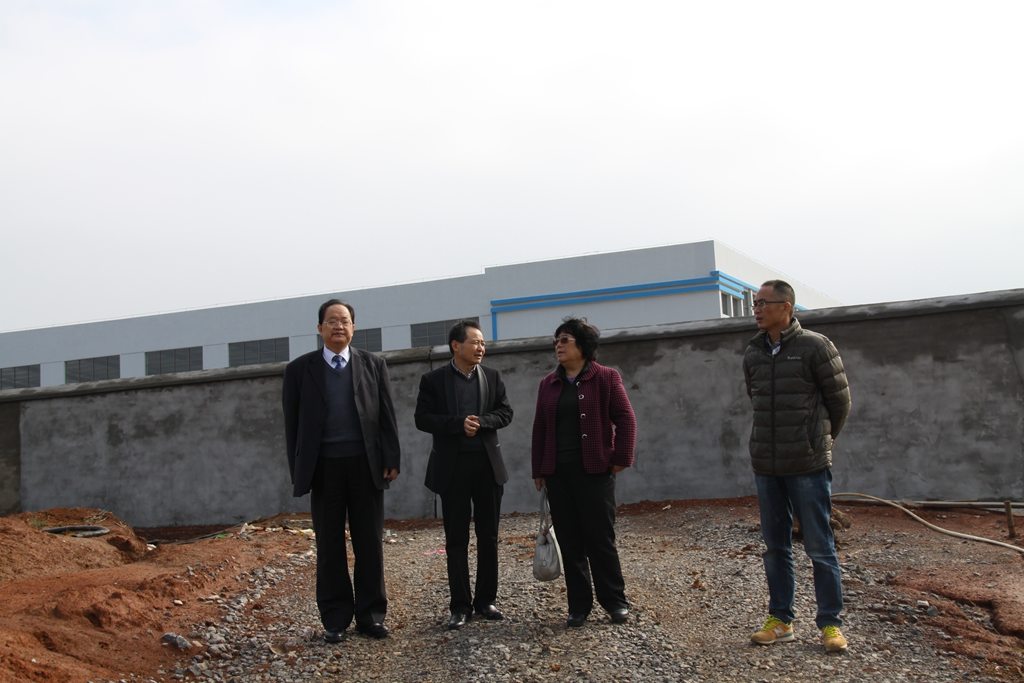 杭州亞運(yùn)會(huì)官方靈芝產(chǎn)品供應(yīng)商|杭州亞運(yùn)會(huì)官方供應(yīng)商|中國(guó)靈芝十大品牌|仙客來靈芝|仙客來靈芝破壁孢子粉|仙客來孢子油|仙客來靈芝飲片|仙客來破壁孢子粉|靈芝孢子油|孢子粉|靈芝破壁孢子粉|靈芝|中華老字號(hào)