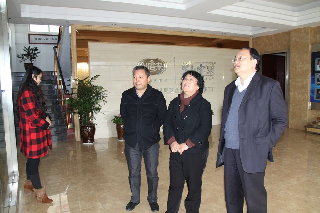 杭州亞運(yùn)會(huì)官方靈芝產(chǎn)品供應(yīng)商|杭州亞運(yùn)會(huì)官方供應(yīng)商|中國(guó)靈芝十大品牌|仙客來靈芝|仙客來靈芝破壁孢子粉|仙客來孢子油|仙客來靈芝飲片|仙客來破壁孢子粉|靈芝孢子油|孢子粉|靈芝破壁孢子粉|靈芝|中華老字號(hào) 杭州亞運(yùn)會(huì)官方靈芝產(chǎn)品供應(yīng)商|杭州亞運(yùn)會(huì)官方供應(yīng)商|中國(guó)靈芝十大品牌|仙客來靈芝|仙客來靈芝破壁孢子粉|仙客來孢子油|仙客來靈芝飲片|仙客來破壁孢子粉|靈芝孢子油|孢子粉|靈芝破壁孢子粉|靈芝|中華老字號(hào)