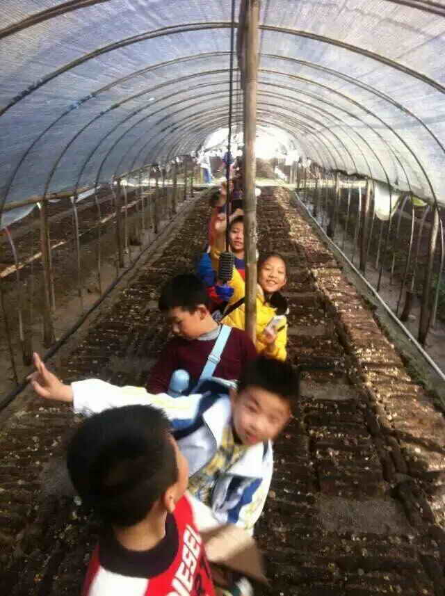 杭州亞運會官方靈芝產品供應商|杭州亞運會官方供應商|中國靈芝十大品牌|仙客來靈芝|仙客來靈芝破壁孢子粉|仙客來孢子油|仙客來靈芝飲片|仙客來破壁孢子粉|靈芝孢子油|孢子粉|靈芝破壁孢子粉|靈芝|中華老字號 杭州亞運會官方靈芝產品供應商|杭州亞運會官方供應商|中國靈芝十大品牌|仙客來靈芝|仙客來靈芝破壁孢子粉|仙客來孢子油|仙客來靈芝飲片|仙客來破壁孢子粉|靈芝孢子油|孢子粉|靈芝破壁孢子粉|靈芝|中華老字號