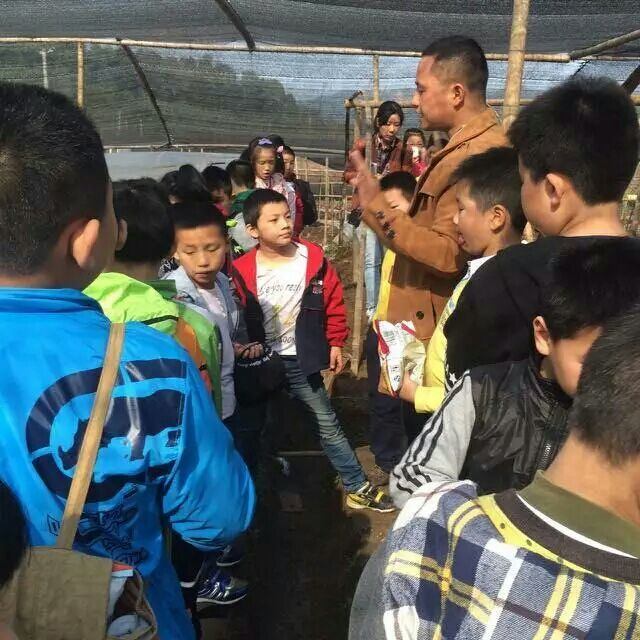 杭州亞運會官方靈芝產品供應商|杭州亞運會官方供應商|中國靈芝十大品牌|仙客來靈芝|仙客來靈芝破壁孢子粉|仙客來孢子油|仙客來靈芝飲片|仙客來破壁孢子粉|靈芝孢子油|孢子粉|靈芝破壁孢子粉|靈芝|中華老字號 杭州亞運會官方靈芝產品供應商|杭州亞運會官方供應商|中國靈芝十大品牌|仙客來靈芝|仙客來靈芝破壁孢子粉|仙客來孢子油|仙客來靈芝飲片|仙客來破壁孢子粉|靈芝孢子油|孢子粉|靈芝破壁孢子粉|靈芝|中華老字號