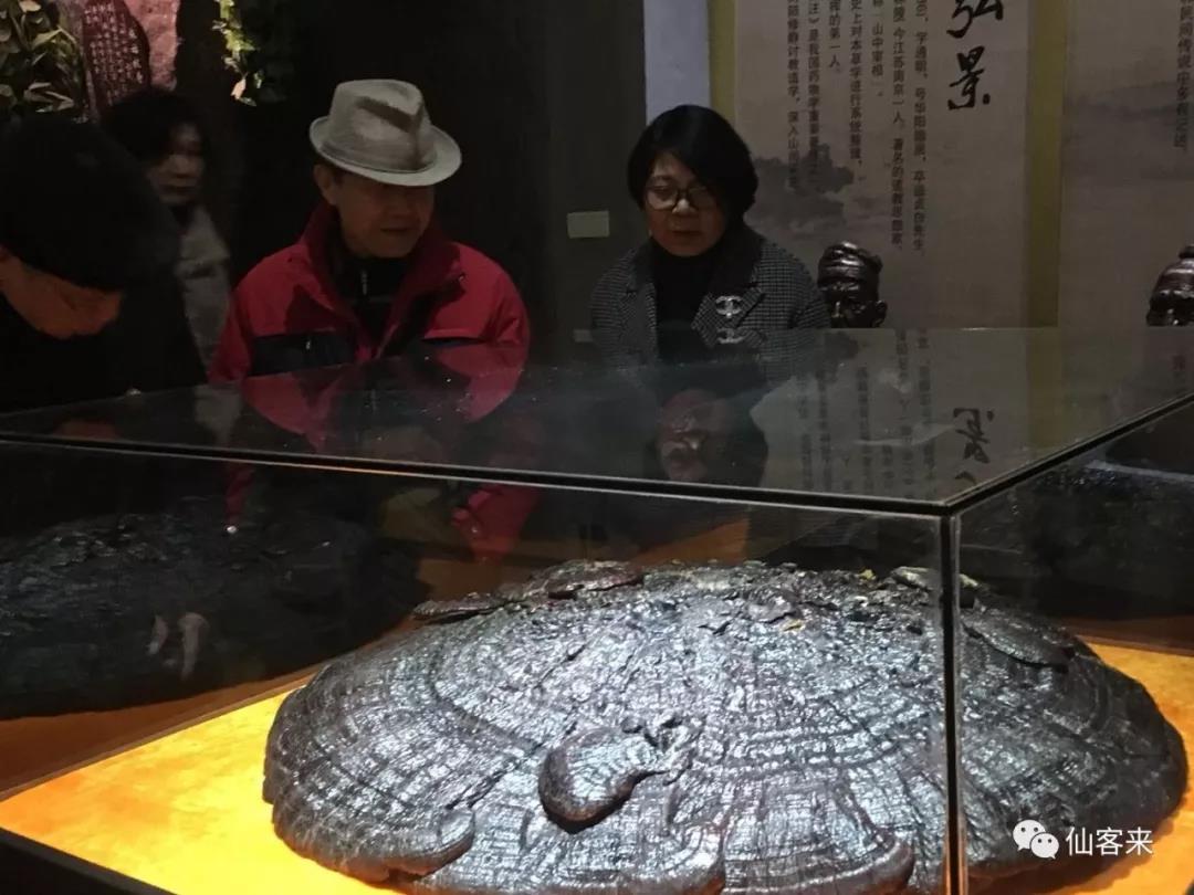 中國靈芝十大品牌|仙客來靈芝|仙客來靈芝破壁孢子粉|仙客來孢子油|仙客來靈芝飲片|仙客來破壁孢子粉|仙客來靈芝中藥飲片|馳名商標(biāo)|arbitrageadvisers.com|