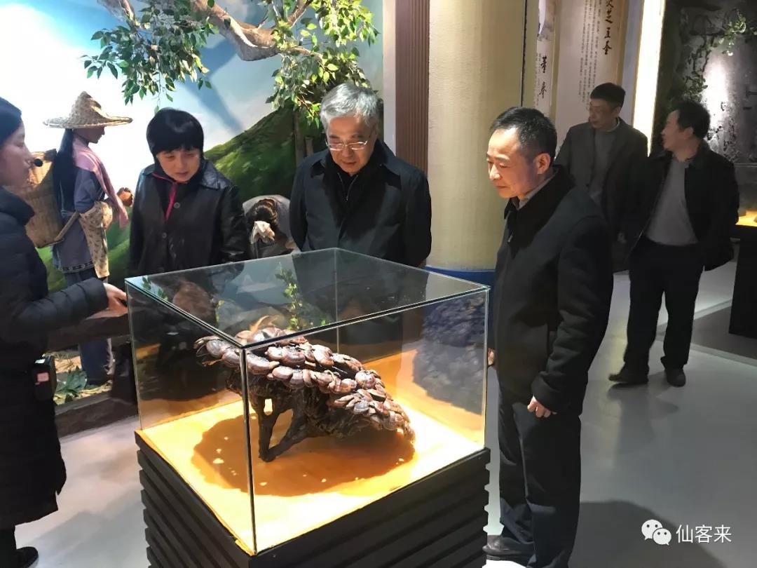 中國靈芝十大品牌|仙客來靈芝|仙客來靈芝破壁孢子粉|仙客來孢子油|仙客來靈芝飲片|仙客來破壁孢子粉|仙客來靈芝中藥飲片|馳名商標|arbitrageadvisers.com|