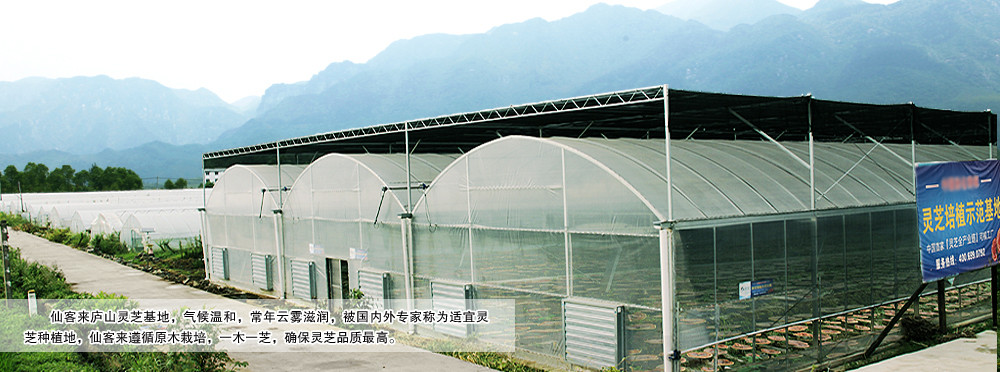 中國靈芝十大品牌|仙客來靈芝|仙客來靈芝破壁孢子粉|仙客來孢子油|仙客來靈芝飲片|仙客來破壁孢子粉|仙客來靈芝中藥飲片|馳名商標|arbitrageadvisers.com|