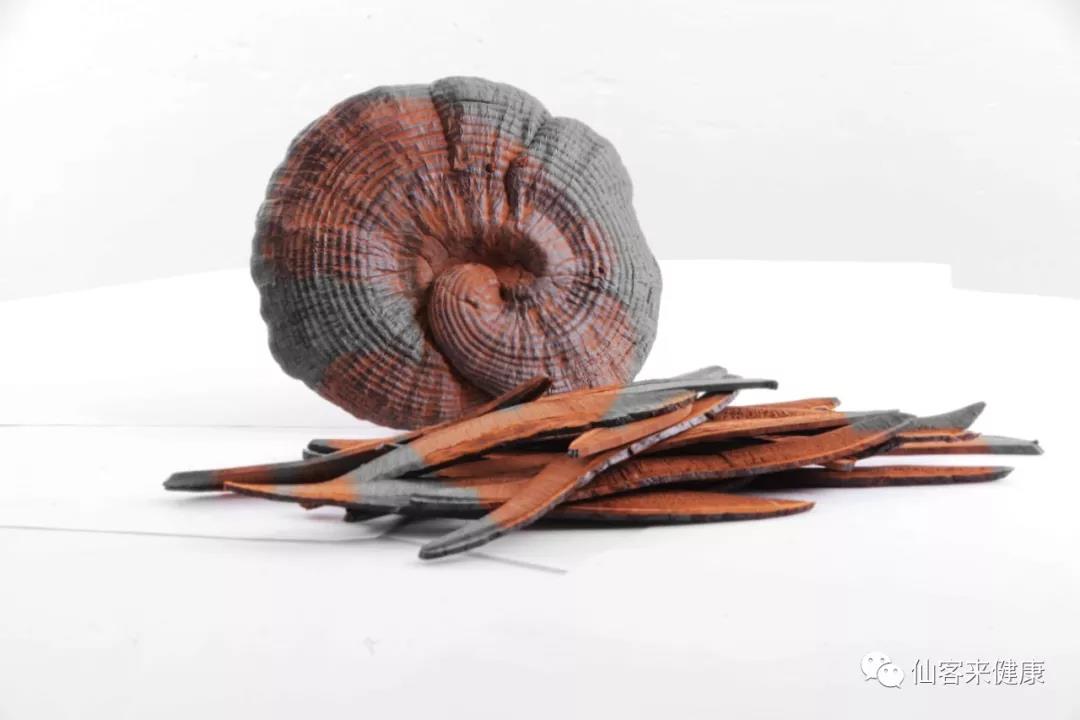 中國靈芝十大品牌|仙客來靈芝|仙客來靈芝破壁孢子粉|仙客來孢子油|仙客來靈芝飲片|仙客來破壁孢子粉|仙客來靈芝中藥飲片|馳名商標(biāo)|arbitrageadvisers.com|