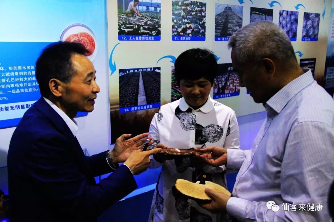 杭州亞運(yùn)會(huì)官方靈芝產(chǎn)品供應(yīng)商|杭州亞運(yùn)會(huì)官方供應(yīng)商|中國靈芝十大品牌|仙客來靈芝|仙客來靈芝破壁孢子粉|仙客來孢子油|仙客來靈芝飲片|仙客來破壁孢子粉|靈芝孢子油|孢子粉|靈芝破壁孢子粉|靈芝|中華老字號(hào) 杭州亞運(yùn)會(huì)官方靈芝產(chǎn)品供應(yīng)商|杭州亞運(yùn)會(huì)官方供應(yīng)商|中國靈芝十大品牌|仙客來靈芝|仙客來靈芝破壁孢子粉|仙客來孢子油|仙客來靈芝飲片|仙客來破壁孢子粉|靈芝孢子油|孢子粉|靈芝破壁孢子粉|靈芝|中華老字號(hào)