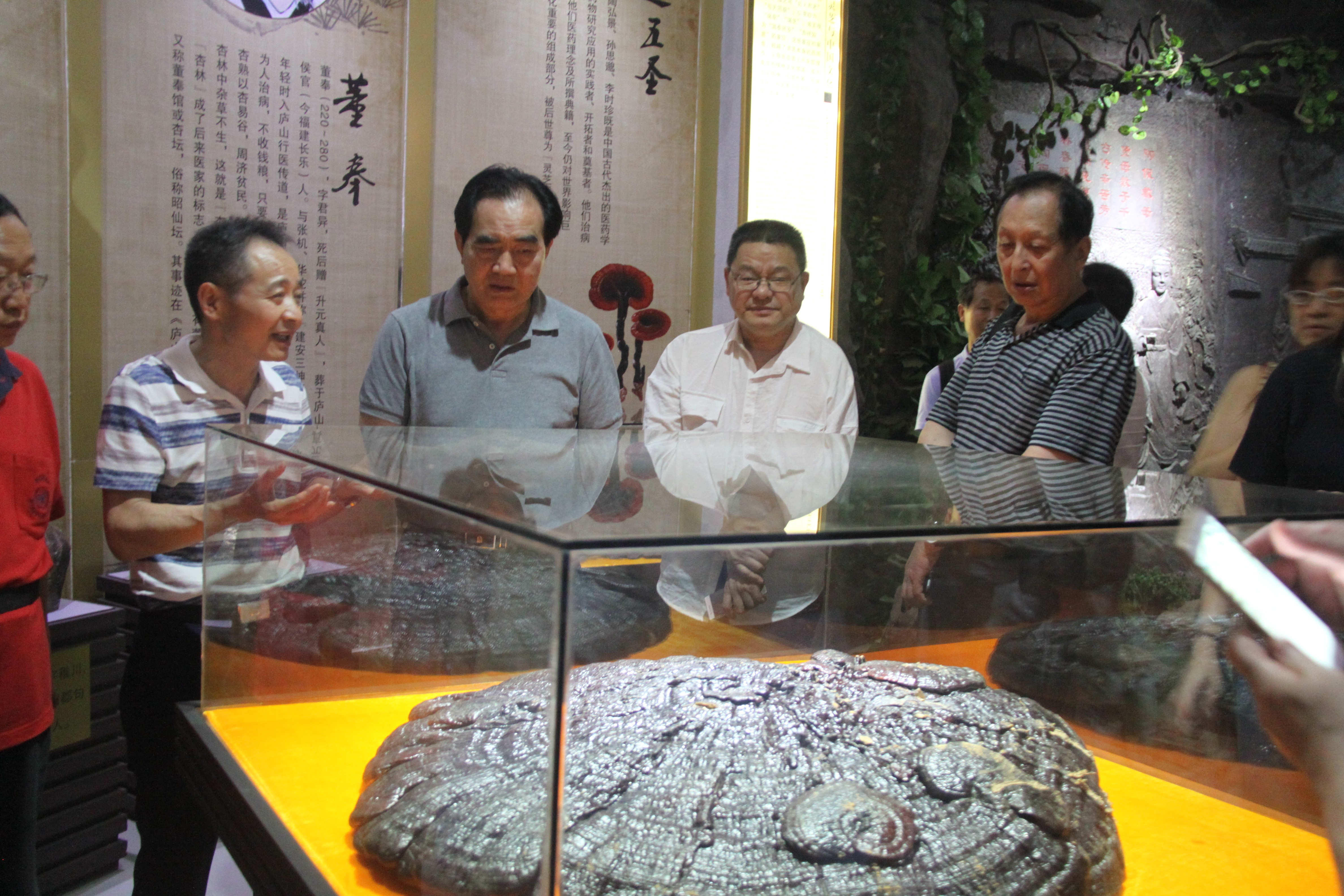 中國(guó)靈芝十大品牌|仙客來靈芝|仙客來靈芝破壁孢子粉|仙客來孢子油|仙客來靈芝飲片|仙客來破壁孢子粉|仙客來靈芝中藥飲片|馳名商標(biāo)|arbitrageadvisers.com|