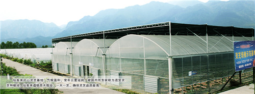 中國靈芝十大品牌|仙客來靈芝|仙客來靈芝破壁孢子粉|仙客來孢子油|仙客來靈芝飲片|仙客來破壁孢子粉|仙客來靈芝中藥飲片|馳名商標(biāo)|arbitrageadvisers.com|