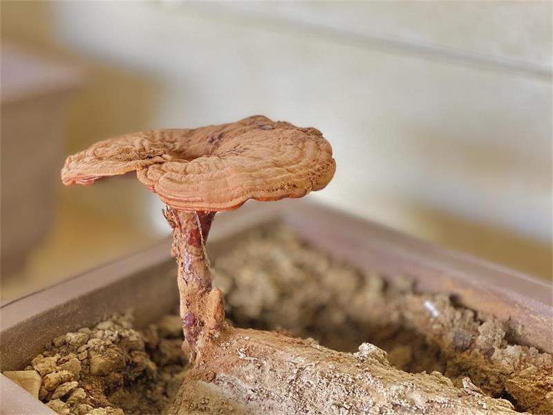 1595322805735873.jpeg IMG_4967.jpeg