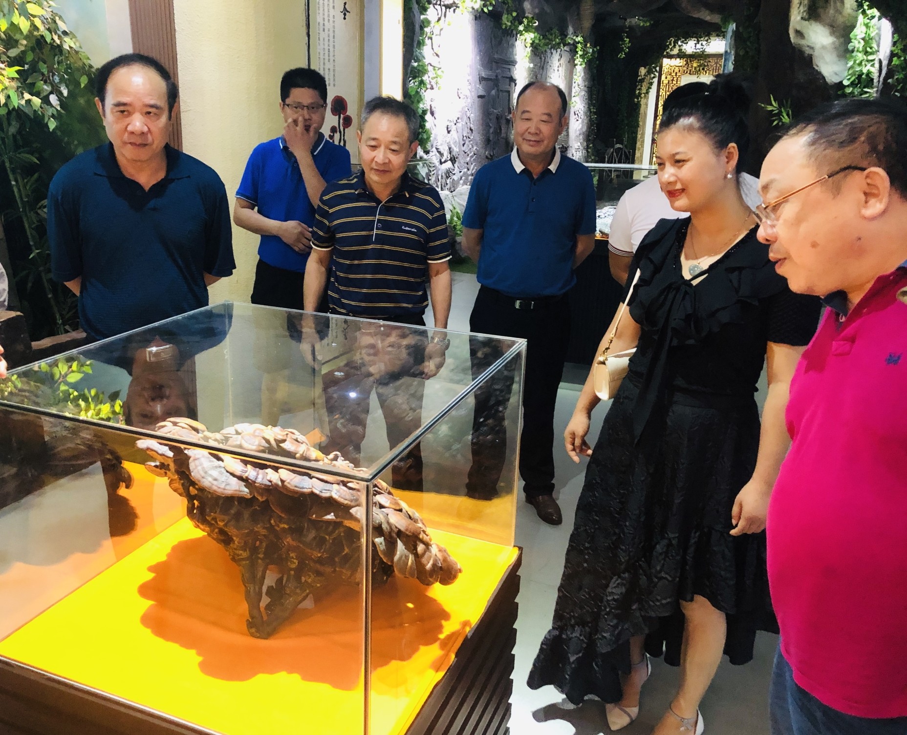 杭州亞運(yùn)會(huì)官方靈芝產(chǎn)品供應(yīng)商|杭州亞運(yùn)會(huì)官方供應(yīng)商|中國(guó)靈芝十大品牌|仙客來靈芝|仙客來靈芝破壁孢子粉|仙客來孢子油|仙客來靈芝飲片|仙客來破壁孢子粉|靈芝孢子油|孢子粉|靈芝破壁孢子粉|靈芝|中華老字號(hào)