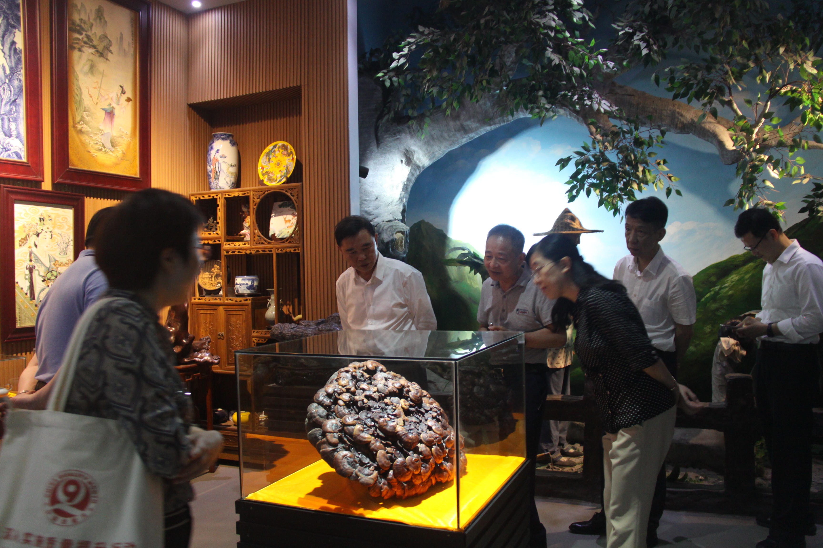 杭州亞運會官方靈芝產品供應商|杭州亞運會官方供應商|中國靈芝十大品牌|仙客來靈芝|仙客來靈芝破壁孢子粉|仙客來孢子油|仙客來靈芝飲片|仙客來破壁孢子粉|靈芝孢子油|孢子粉|靈芝破壁孢子粉|靈芝|中華老字號