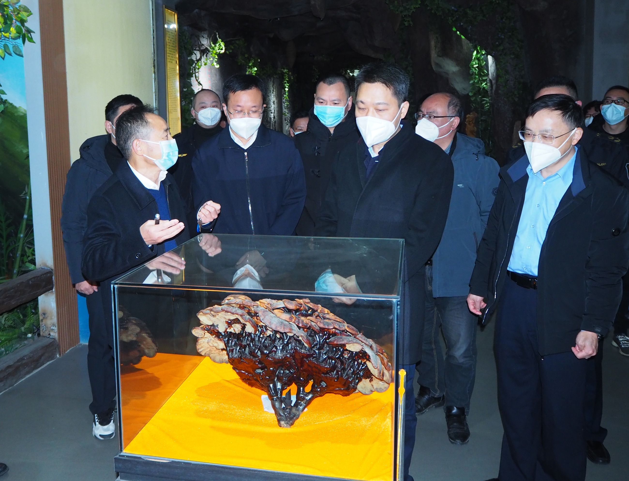 杭州亞運(yùn)會(huì)官方靈芝產(chǎn)品供應(yīng)商|杭州亞運(yùn)會(huì)官方供應(yīng)商|中國(guó)靈芝十大品牌|仙客來(lái)靈芝|仙客來(lái)靈芝破壁孢子粉|仙客來(lái)孢子油|仙客來(lái)靈芝飲片|仙客來(lái)破壁孢子粉|靈芝孢子油|孢子粉|靈芝破壁孢子粉|靈芝|中華老字號(hào) 杭州亞運(yùn)會(huì)官方靈芝產(chǎn)品供應(yīng)商|杭州亞運(yùn)會(huì)官方供應(yīng)商|中國(guó)靈芝十大品牌|仙客來(lái)靈芝|仙客來(lái)靈芝破壁孢子粉|仙客來(lái)孢子油|仙客來(lái)靈芝飲片|仙客來(lái)破壁孢子粉|靈芝孢子油|孢子粉|靈芝破壁孢子粉|靈芝|中華老字號(hào)