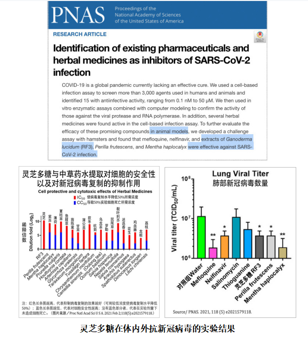 杭州亞運(yùn)會(huì)官方靈芝產(chǎn)品供應(yīng)商|杭州亞運(yùn)會(huì)官方供應(yīng)商|中國靈芝十大品牌|仙客來靈芝|仙客來靈芝破壁孢子粉|仙客來孢子油|仙客來靈芝飲片|仙客來破壁孢子粉|靈芝孢子油|孢子粉|靈芝破壁孢子粉|靈芝|中華老字號(hào) 杭州亞運(yùn)會(huì)官方靈芝產(chǎn)品供應(yīng)商|杭州亞運(yùn)會(huì)官方供應(yīng)商|中國靈芝十大品牌|仙客來靈芝|仙客來靈芝破壁孢子粉|仙客來孢子油|仙客來靈芝飲片|仙客來破壁孢子粉|靈芝孢子油|孢子粉|靈芝破壁孢子粉|靈芝|中華老字號(hào)