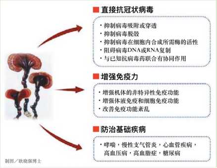 杭州亞運(yùn)會(huì)官方靈芝產(chǎn)品供應(yīng)商|杭州亞運(yùn)會(huì)官方供應(yīng)商|中國靈芝十大品牌|仙客來靈芝|仙客來靈芝破壁孢子粉|仙客來孢子油|仙客來靈芝飲片|仙客來破壁孢子粉|靈芝孢子油|孢子粉|靈芝破壁孢子粉|靈芝|中華老字號(hào) 杭州亞運(yùn)會(huì)官方靈芝產(chǎn)品供應(yīng)商|杭州亞運(yùn)會(huì)官方供應(yīng)商|中國靈芝十大品牌|仙客來靈芝|仙客來靈芝破壁孢子粉|仙客來孢子油|仙客來靈芝飲片|仙客來破壁孢子粉|靈芝孢子油|孢子粉|靈芝破壁孢子粉|靈芝|中華老字號(hào)