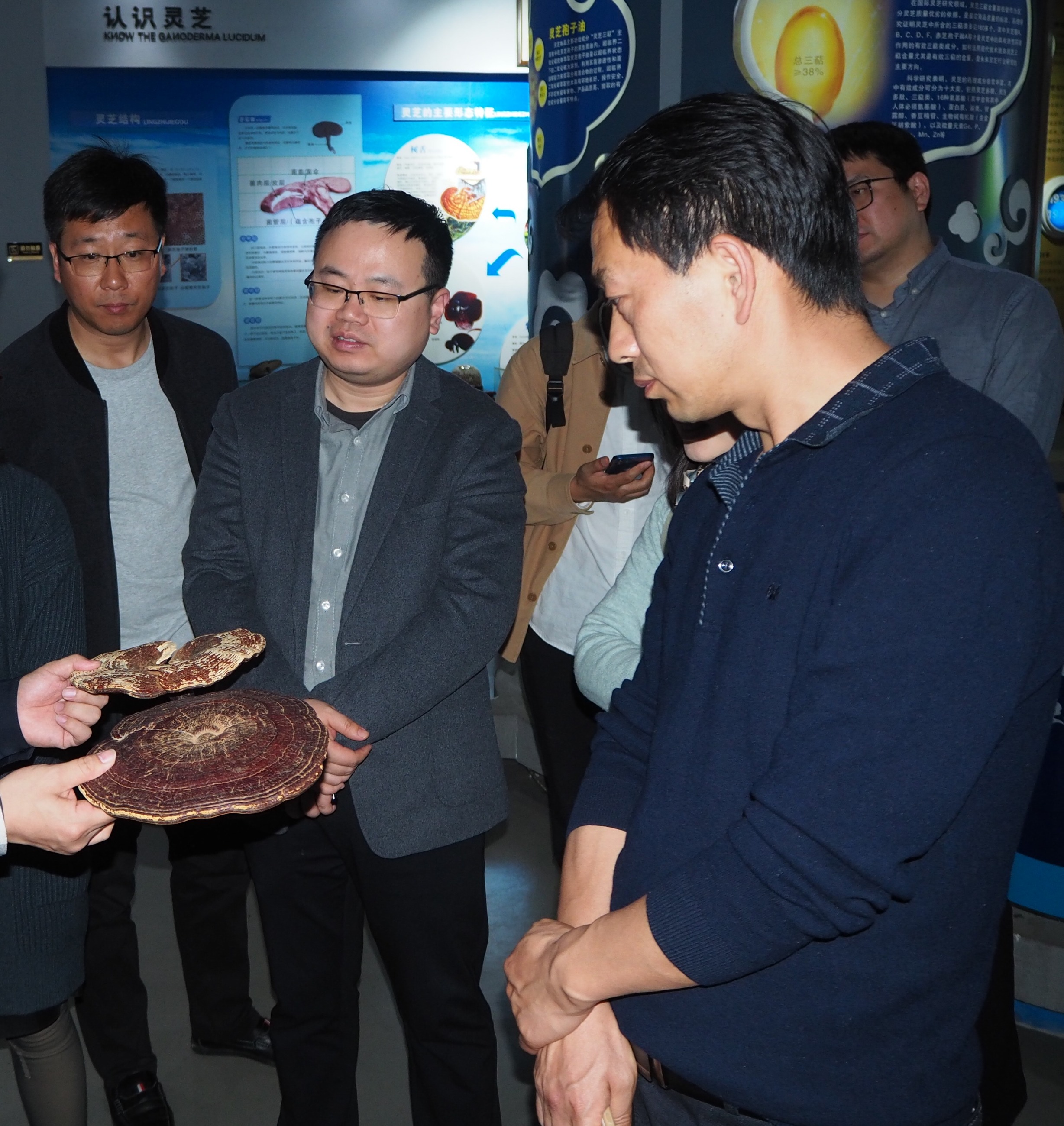 杭州亞運(yùn)會(huì)官方靈芝產(chǎn)品供應(yīng)商|杭州亞運(yùn)會(huì)官方供應(yīng)商|中國(guó)靈芝十大品牌|仙客來(lái)靈芝|仙客來(lái)靈芝破壁孢子粉|仙客來(lái)孢子油|仙客來(lái)靈芝飲片|仙客來(lái)破壁孢子粉|靈芝孢子油|孢子粉|靈芝破壁孢子粉|靈芝|中華老字號(hào) 杭州亞運(yùn)會(huì)官方靈芝產(chǎn)品供應(yīng)商|杭州亞運(yùn)會(huì)官方供應(yīng)商|中國(guó)靈芝十大品牌|仙客來(lái)靈芝|仙客來(lái)靈芝破壁孢子粉|仙客來(lái)孢子油|仙客來(lái)靈芝飲片|仙客來(lái)破壁孢子粉|靈芝孢子油|孢子粉|靈芝破壁孢子粉|靈芝|中華老字號(hào)