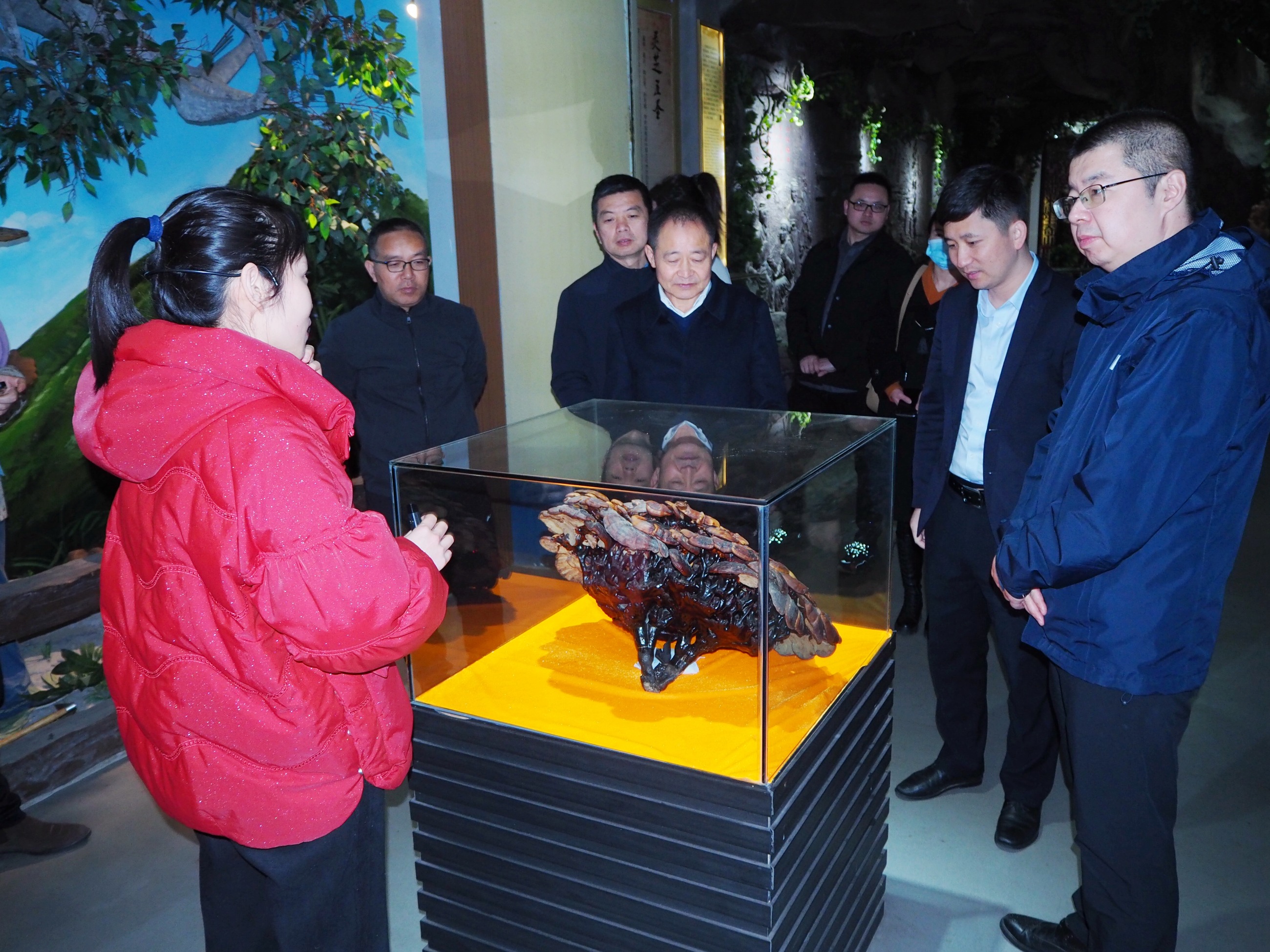 杭州亞運會官方靈芝產(chǎn)品供應商|杭州亞運會官方供應商|中國靈芝十大品牌|仙客來靈芝|仙客來靈芝破壁孢子粉|仙客來孢子油|仙客來靈芝飲片|仙客來破壁孢子粉|靈芝孢子油|孢子粉|靈芝破壁孢子粉|靈芝|中華老字號 杭州亞運會官方靈芝產(chǎn)品供應商|杭州亞運會官方供應商|中國靈芝十大品牌|仙客來靈芝|仙客來靈芝破壁孢子粉|仙客來孢子油|仙客來靈芝飲片|仙客來破壁孢子粉|靈芝孢子油|孢子粉|靈芝破壁孢子粉|靈芝|中華老字號