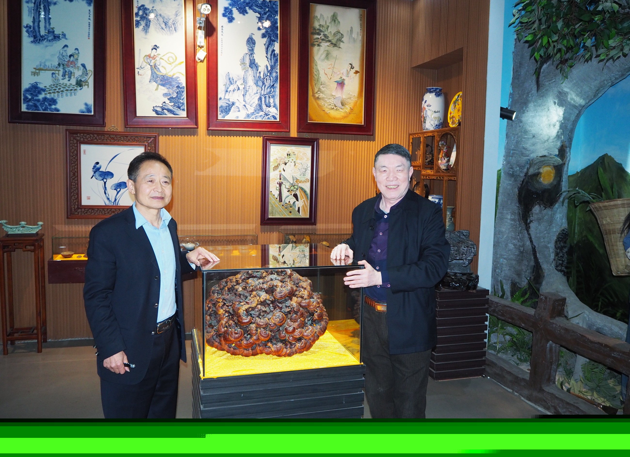 杭州亞運會官方靈芝產(chǎn)品供應商|杭州亞運會官方供應商|中國靈芝十大品牌|仙客來靈芝|仙客來靈芝破壁孢子粉|仙客來孢子油|仙客來靈芝飲片|仙客來破壁孢子粉|靈芝孢子油|孢子粉|靈芝破壁孢子粉|靈芝|中華老字號