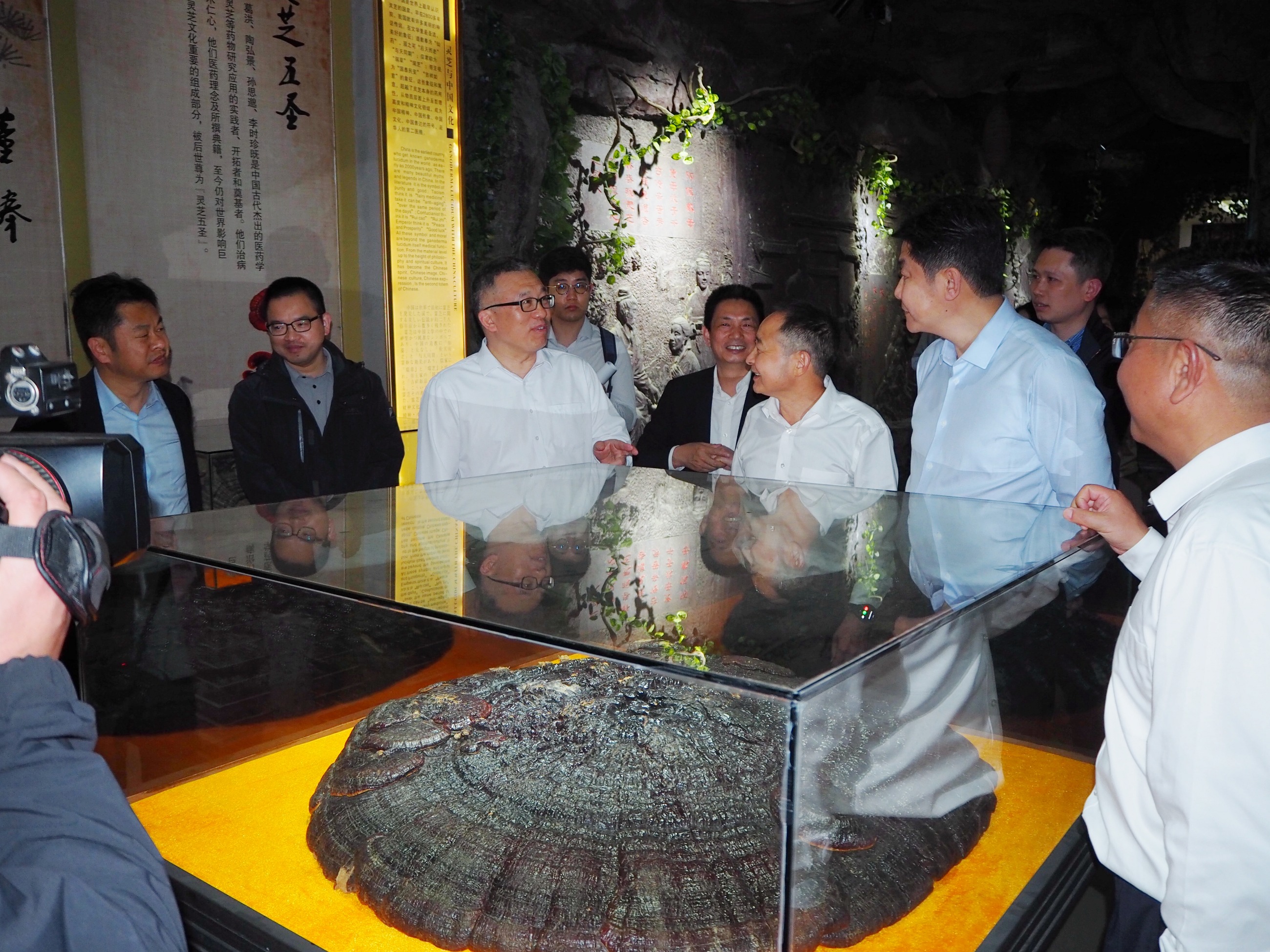 杭州亞運會官方靈芝產品供應商|杭州亞運會官方供應商|中國靈芝十大品牌|仙客來靈芝|仙客來靈芝破壁孢子粉|仙客來孢子油|仙客來靈芝飲片|仙客來破壁孢子粉|靈芝孢子油|孢子粉|靈芝破壁孢子粉|靈芝|中華老字號 杭州亞運會官方靈芝產品供應商|杭州亞運會官方供應商|中國靈芝十大品牌|仙客來靈芝|仙客來靈芝破壁孢子粉|仙客來孢子油|仙客來靈芝飲片|仙客來破壁孢子粉|靈芝孢子油|孢子粉|靈芝破壁孢子粉|靈芝|中華老字號