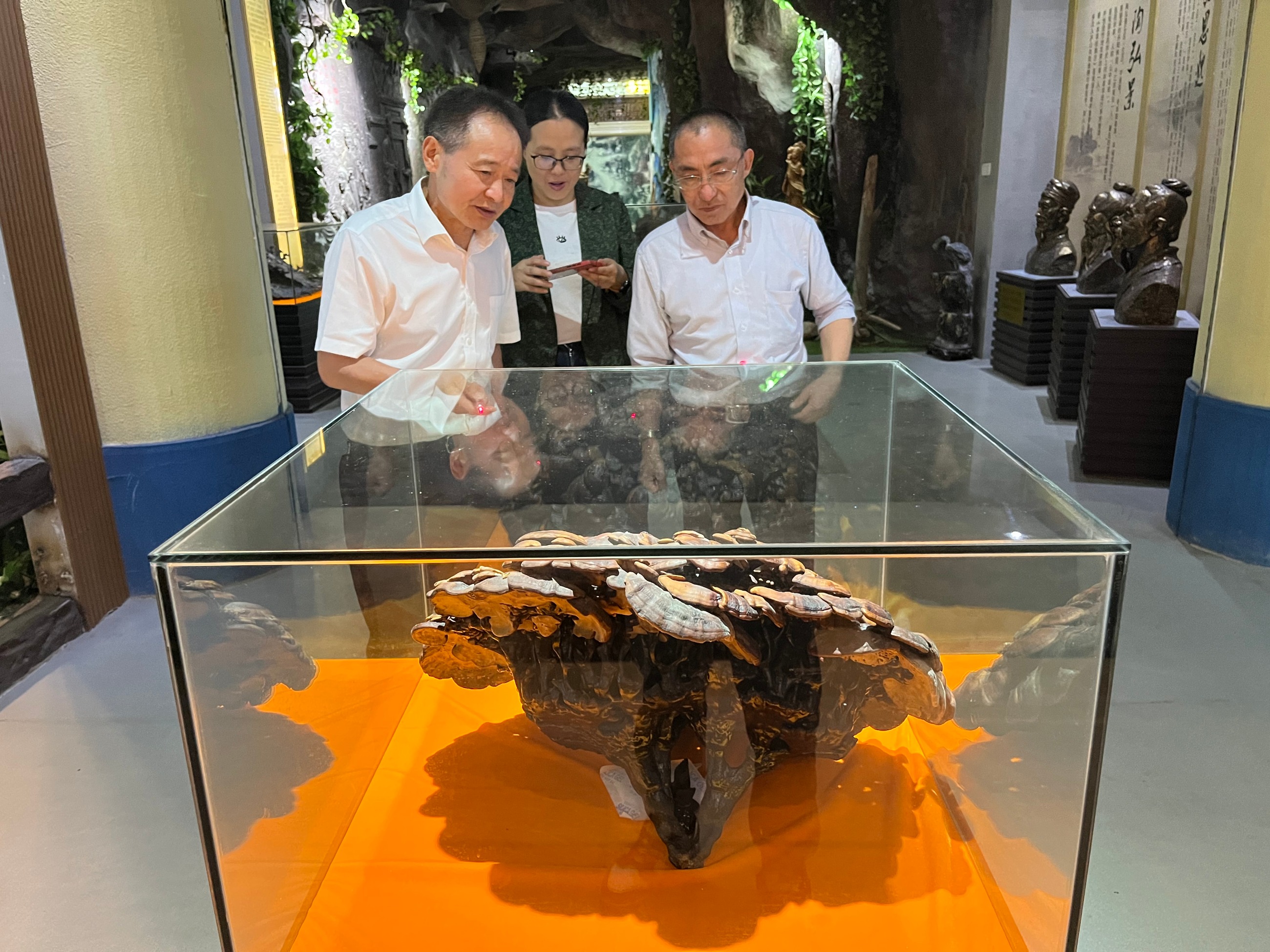 杭州亞運(yùn)會(huì)官方靈芝產(chǎn)品供應(yīng)商|杭州亞運(yùn)會(huì)官方供應(yīng)商|中國(guó)靈芝十大品牌|仙客來靈芝|仙客來靈芝破壁孢子粉|仙客來孢子油|仙客來靈芝飲片|仙客來破壁孢子粉|靈芝孢子油|孢子粉|靈芝破壁孢子粉|靈芝|中華老字號(hào) 杭州亞運(yùn)會(huì)官方靈芝產(chǎn)品供應(yīng)商|杭州亞運(yùn)會(huì)官方供應(yīng)商|中國(guó)靈芝十大品牌|仙客來靈芝|仙客來靈芝破壁孢子粉|仙客來孢子油|仙客來靈芝飲片|仙客來破壁孢子粉|靈芝孢子油|孢子粉|靈芝破壁孢子粉|靈芝|中華老字號(hào)