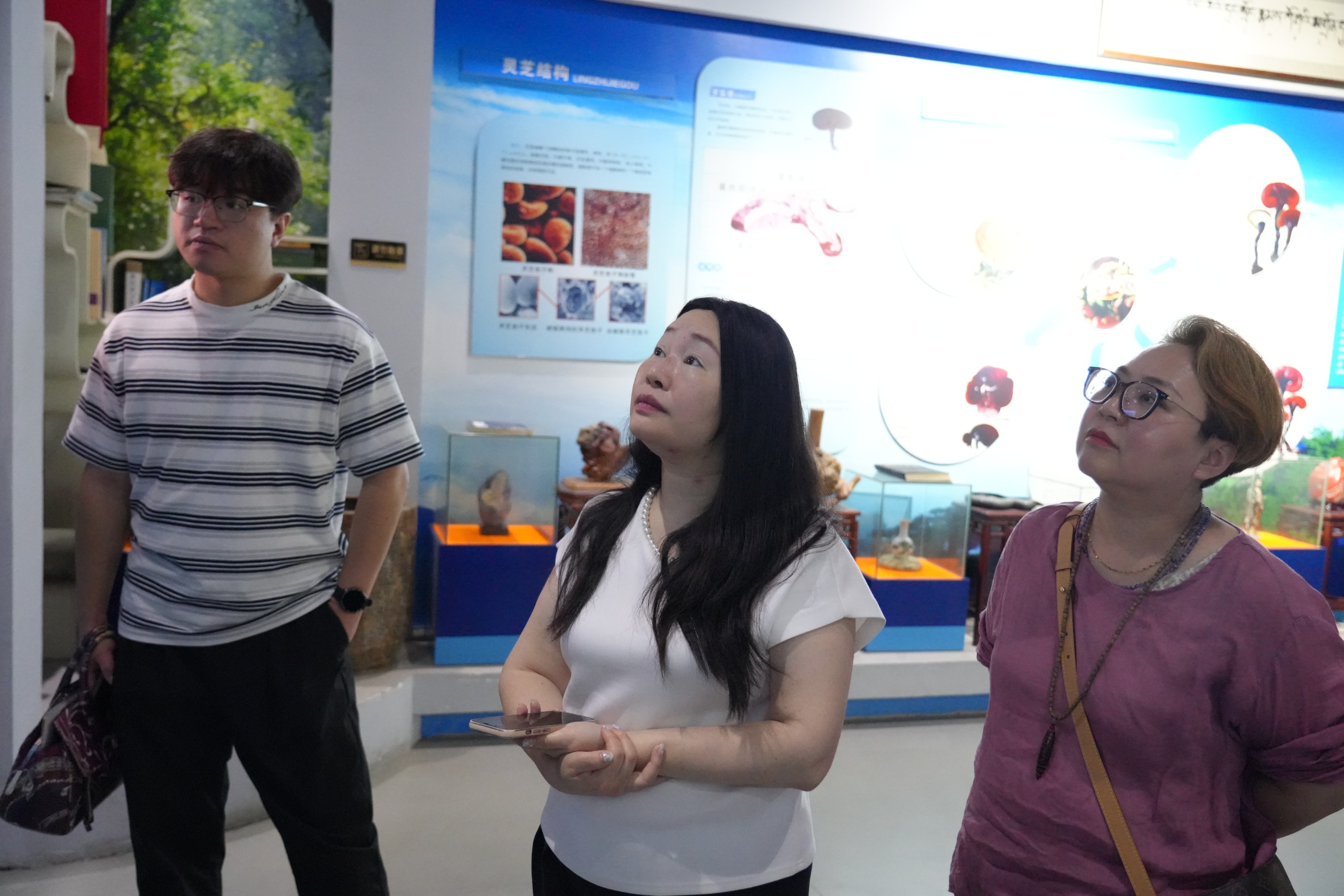 杭州亞運會官方靈芝產(chǎn)品供應商|杭州亞運會官方供應商|中國靈芝十大品牌|仙客來靈芝|仙客來靈芝破壁孢子粉|仙客來孢子油|仙客來靈芝飲片|仙客來破壁孢子粉|靈芝孢子油|孢子粉|靈芝破壁孢子粉|靈芝|中華老字號