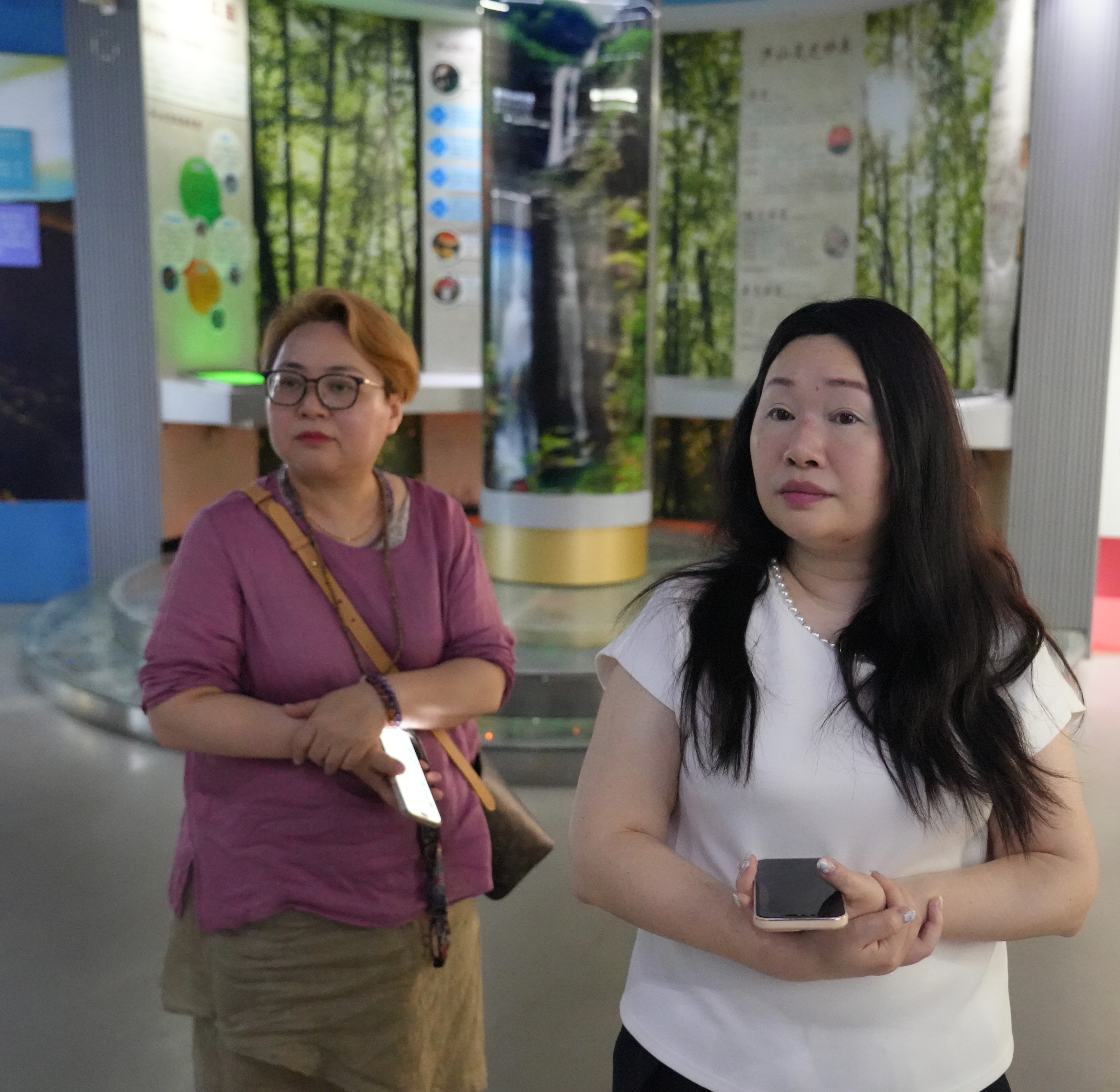 杭州亞運會官方靈芝產(chǎn)品供應商|杭州亞運會官方供應商|中國靈芝十大品牌|仙客來靈芝|仙客來靈芝破壁孢子粉|仙客來孢子油|仙客來靈芝飲片|仙客來破壁孢子粉|靈芝孢子油|孢子粉|靈芝破壁孢子粉|靈芝|中華老字號