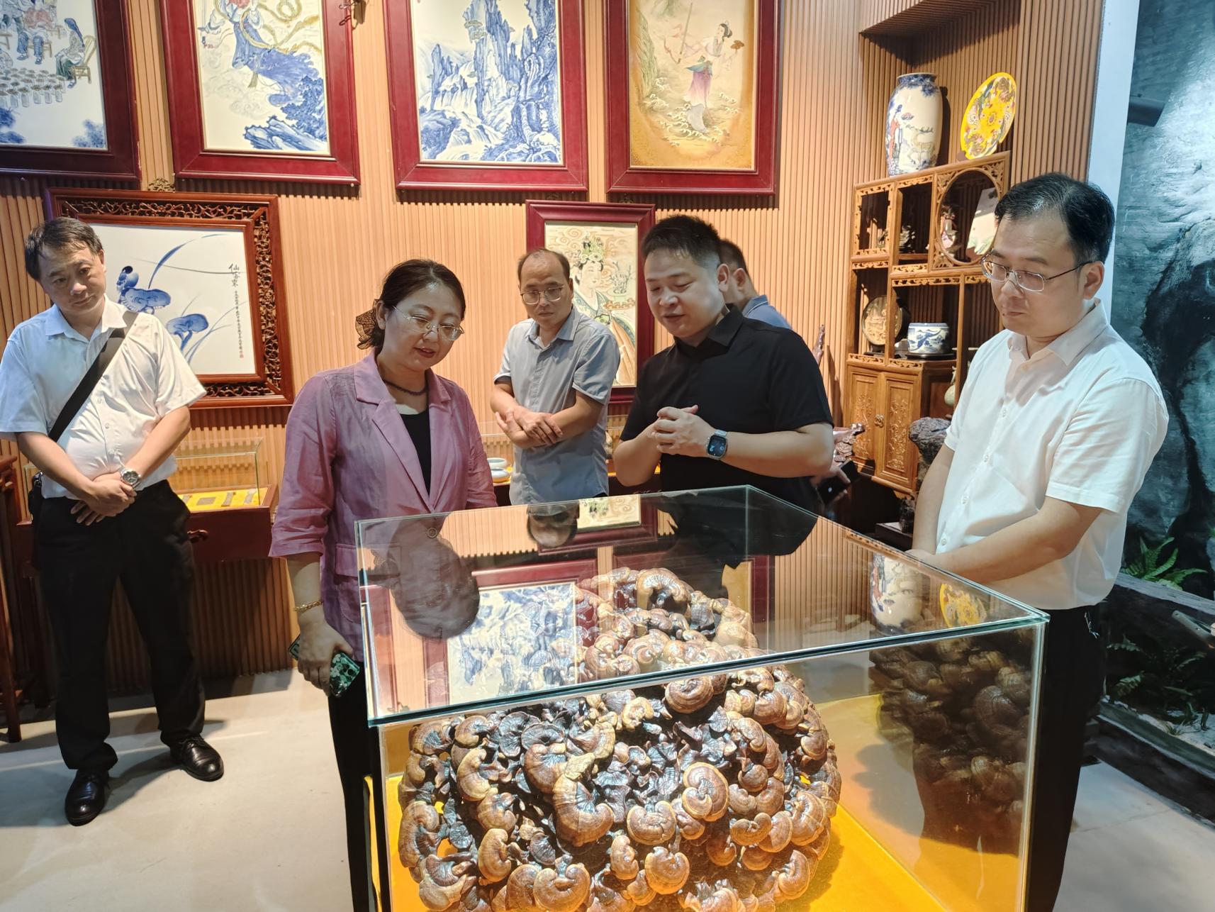杭州亞運會官方靈芝產(chǎn)品供應(yīng)商|杭州亞運會官方供應(yīng)商|中國靈芝十大品牌|仙客來靈芝|仙客來靈芝破壁孢子粉|仙客來孢子油|仙客來靈芝飲片|仙客來破壁孢子粉|靈芝孢子油|孢子粉|靈芝破壁孢子粉|靈芝|中華老字號