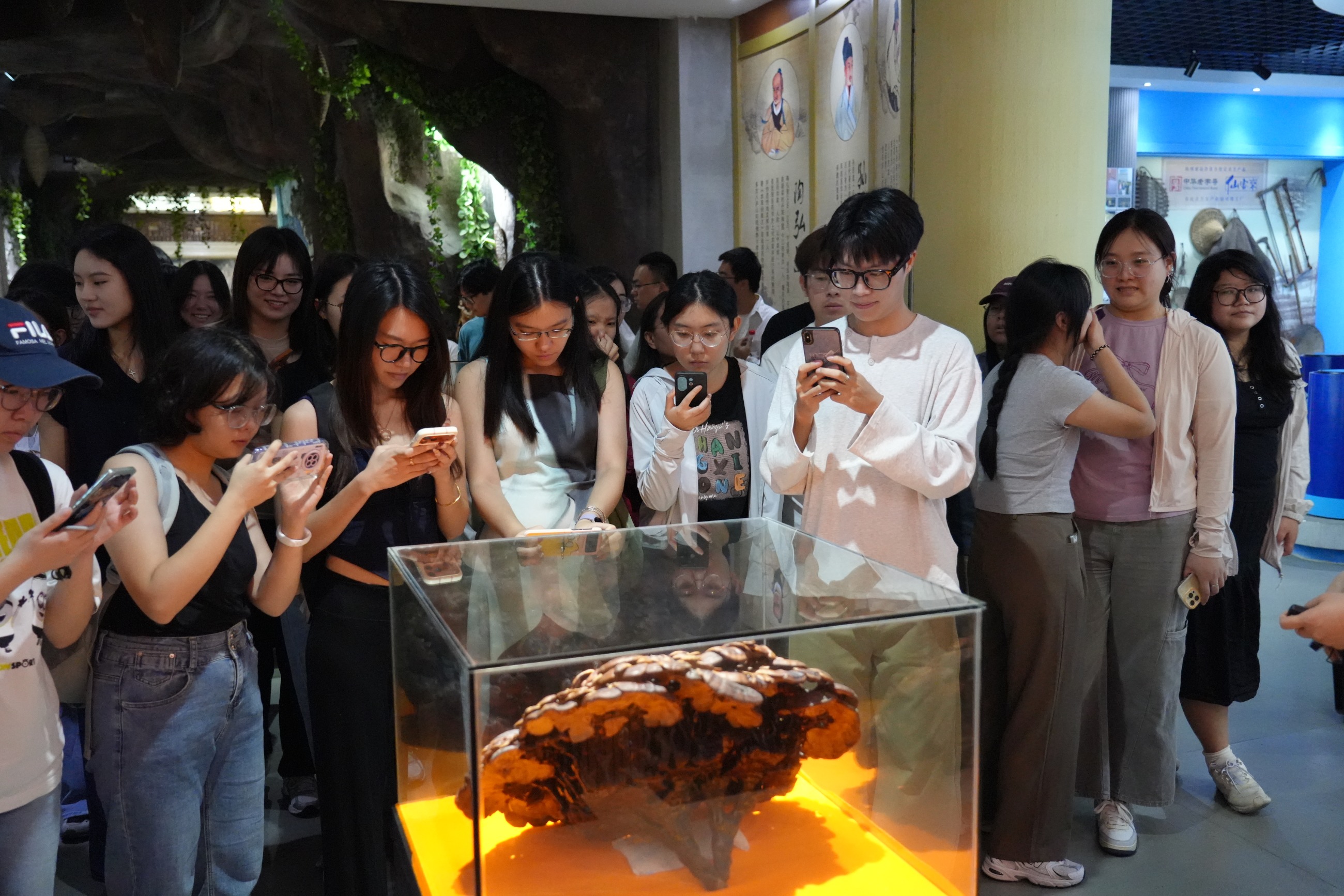 杭州亞運(yùn)會官方靈芝產(chǎn)品供應(yīng)商|杭州亞運(yùn)會官方供應(yīng)商|中國靈芝十大品牌|仙客來靈芝|仙客來靈芝破壁孢子粉|仙客來孢子油|仙客來靈芝飲片|仙客來破壁孢子粉|靈芝孢子油|孢子粉|靈芝破壁孢子粉|靈芝|中華老字號