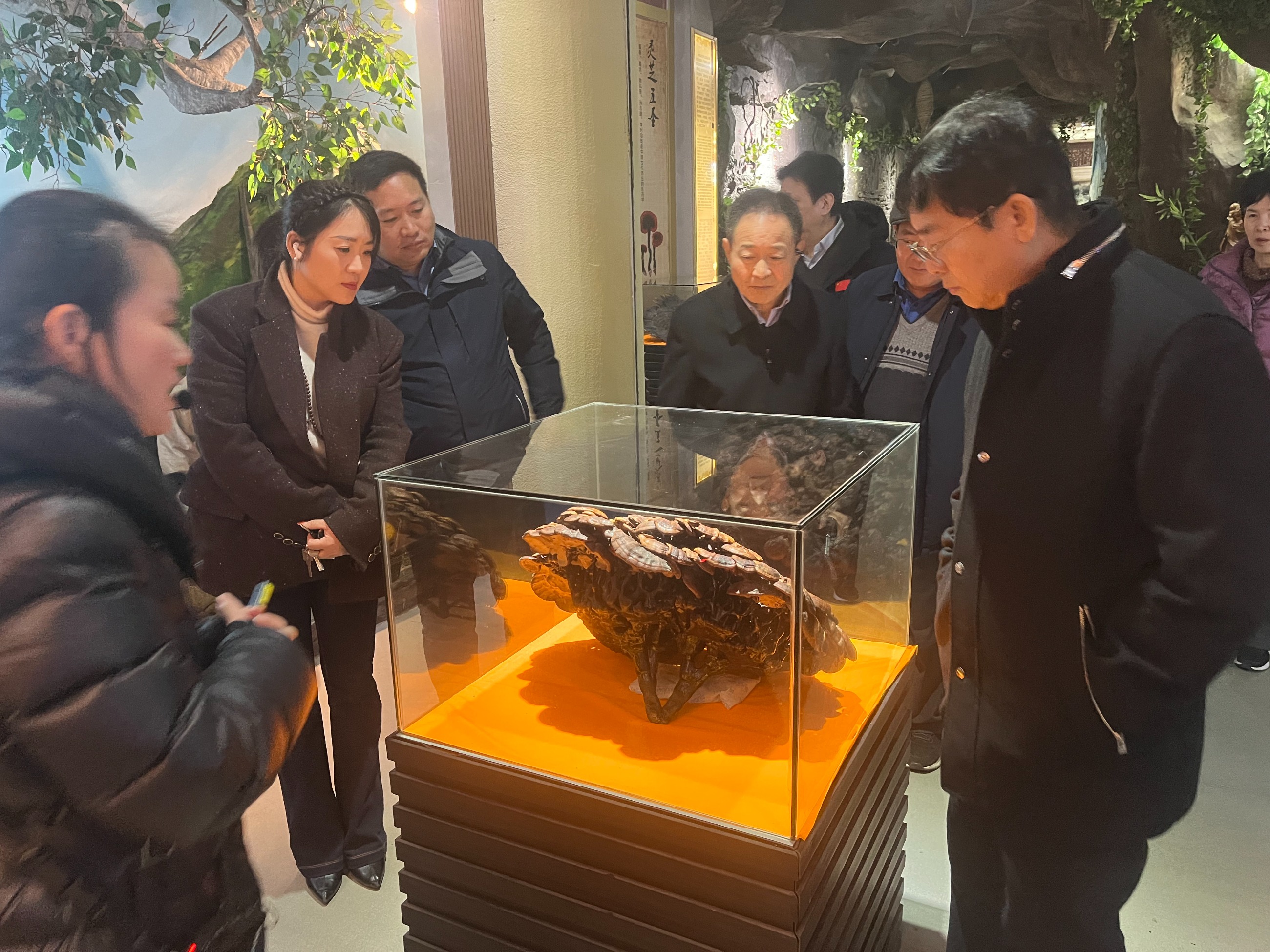 杭州亞運(yùn)會官方靈芝產(chǎn)品供應(yīng)商|杭州亞運(yùn)會官方供應(yīng)商|中國靈芝十大品牌|仙客來靈芝|仙客來靈芝破壁孢子粉|仙客來孢子油|仙客來靈芝飲片|仙客來破壁孢子粉|靈芝孢子油|孢子粉|靈芝破壁孢子粉|靈芝|中華老字號