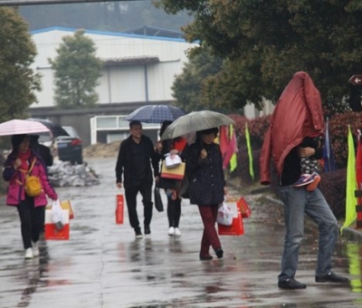 九江暴雨，仙客來“暴游”