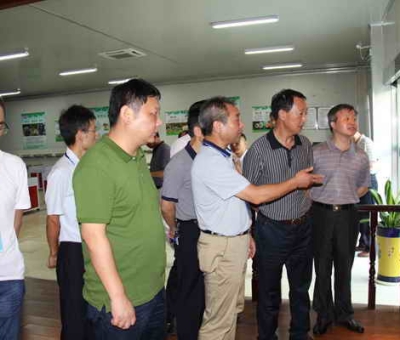 德安縣委、人大、政協(xié)領(lǐng)導(dǎo)考察仙客來公司