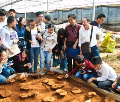 九江學(xué)院師生在仙客來公司舉行實(shí)踐活動(dòng)