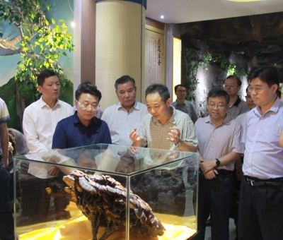 “降成本，優(yōu)環(huán)境”助企業(yè)騰飛——江西省政協(xié)副主席率團(tuán)調(diào)研仙客來！