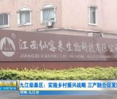 中國人只需要“別具”，缺失了“匠心”！