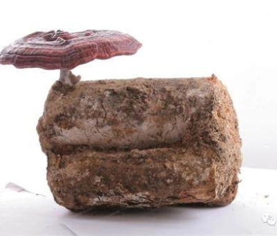 小滿時節(jié)脾胃失調(diào)，如何養(yǎng)生才健康？