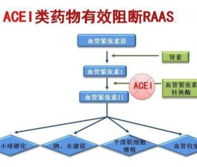 不吃藥，能降低高血壓？