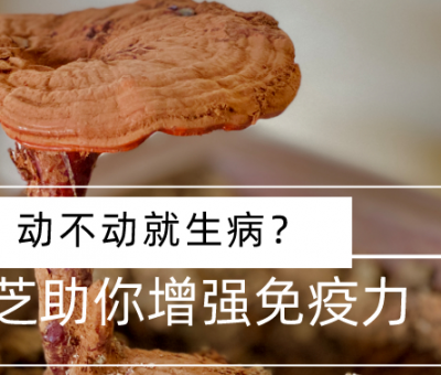 靈芝，預(yù)防您夏季上“火”