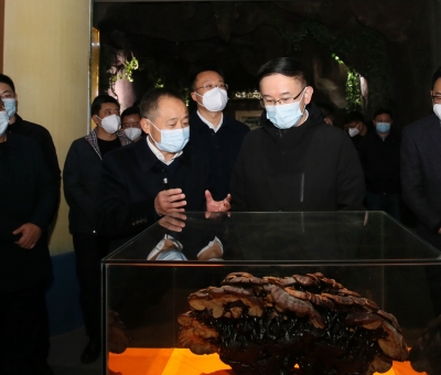 市委書記劉文華蒞臨仙客來(lái)公司調(diào)研指導(dǎo)